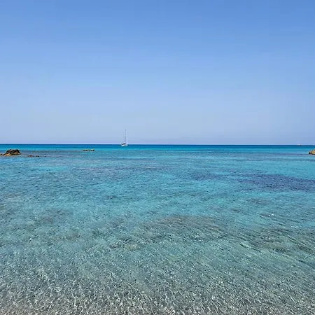 Il Corbezzolo